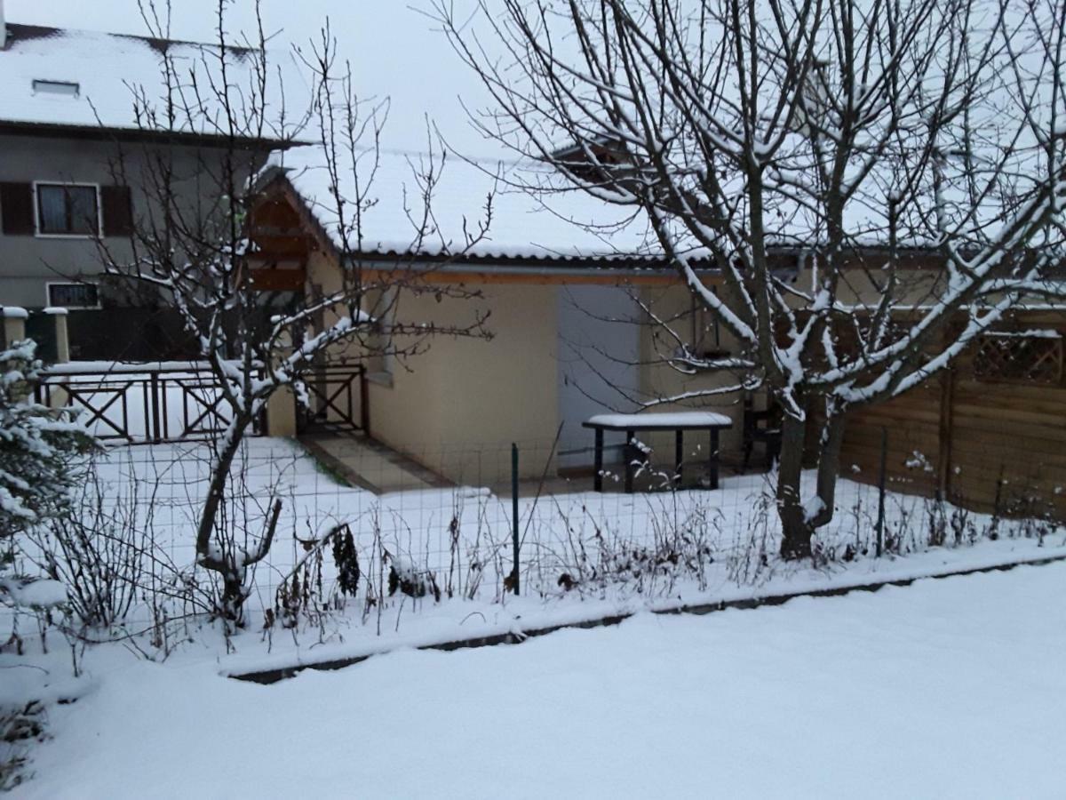 Studio De La Corbaz Сьонзье Экстерьер фото